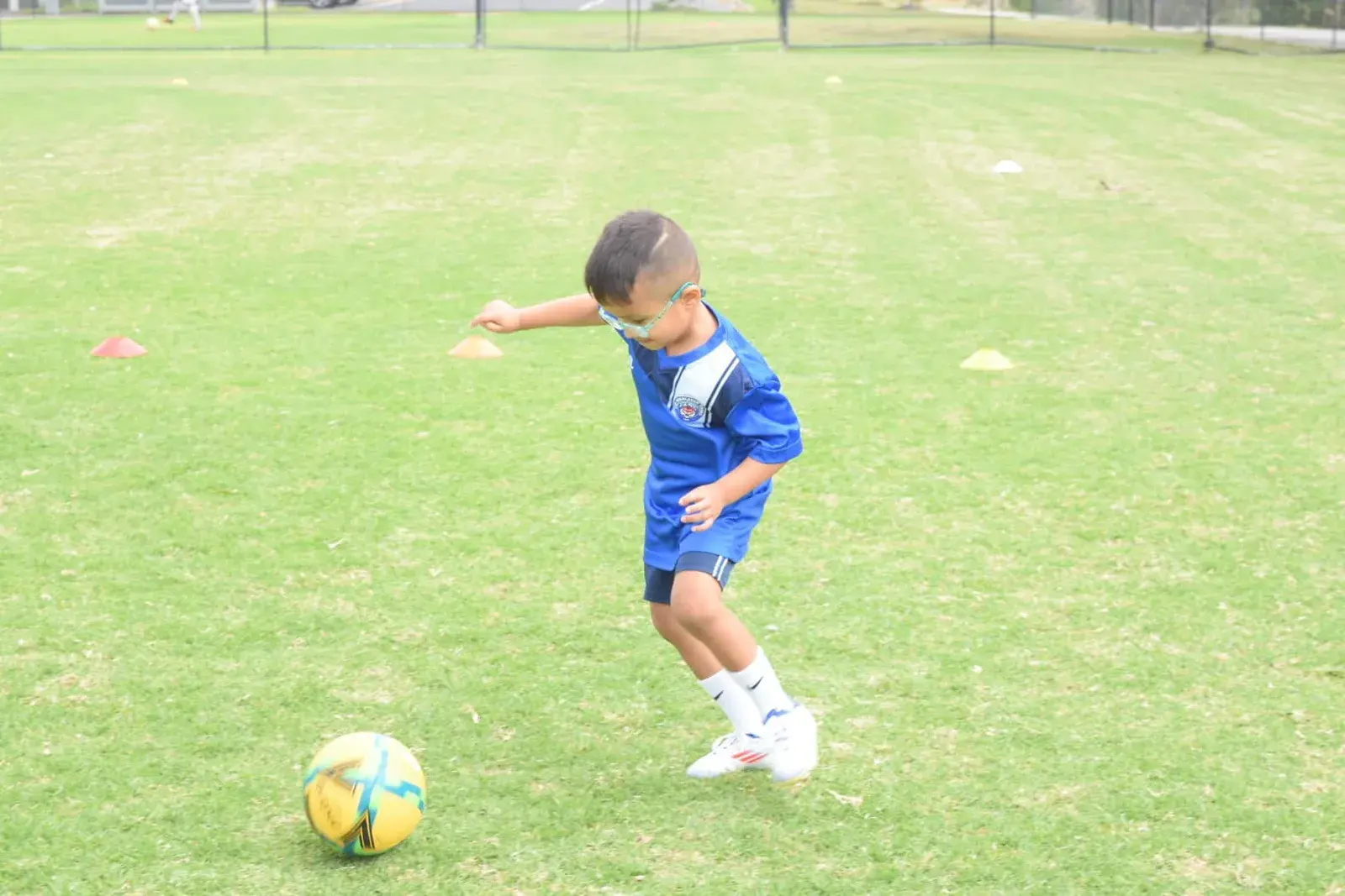 Young Tiger preparing to kick a football