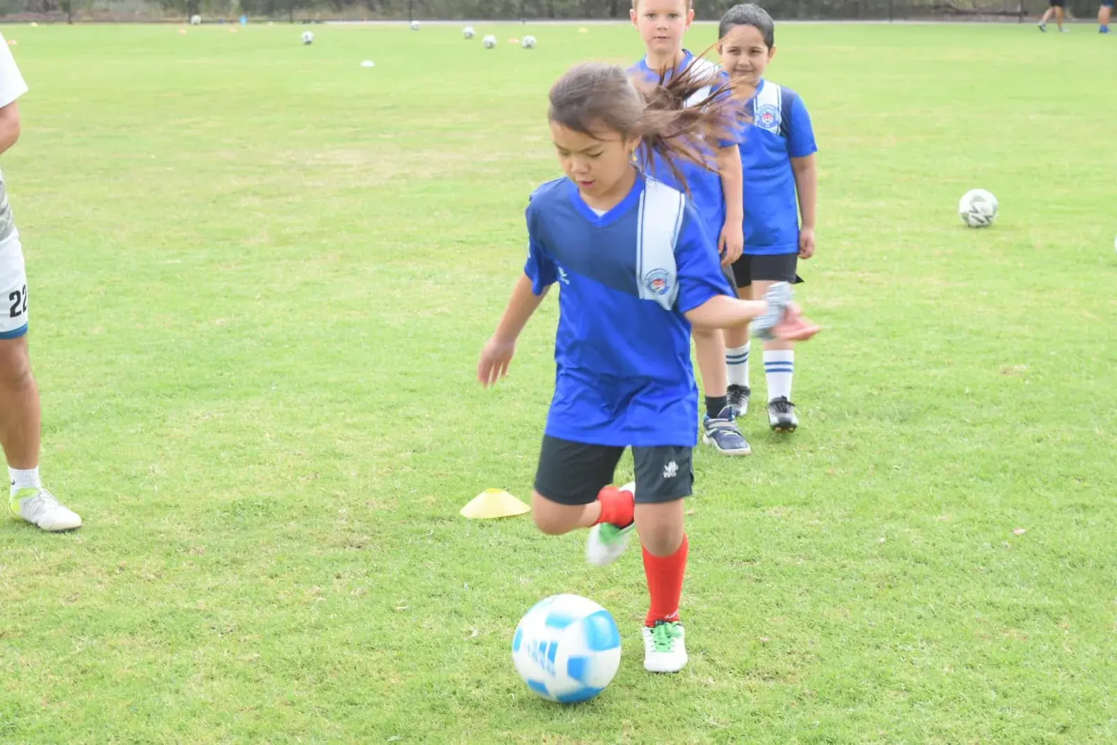 Young Tiger preparing a pass